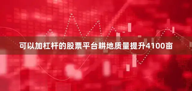 可以加杠杆的股票平台耕地质量提升4100亩