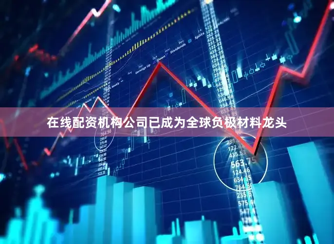 在线配资机构公司已成为全球负极材料龙头