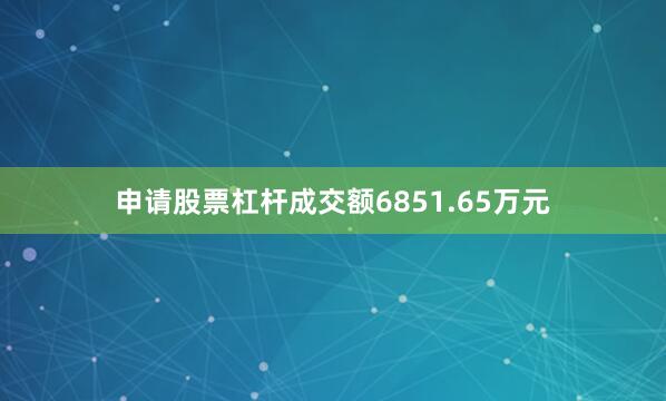 申请股票杠杆成交额6851.65万元